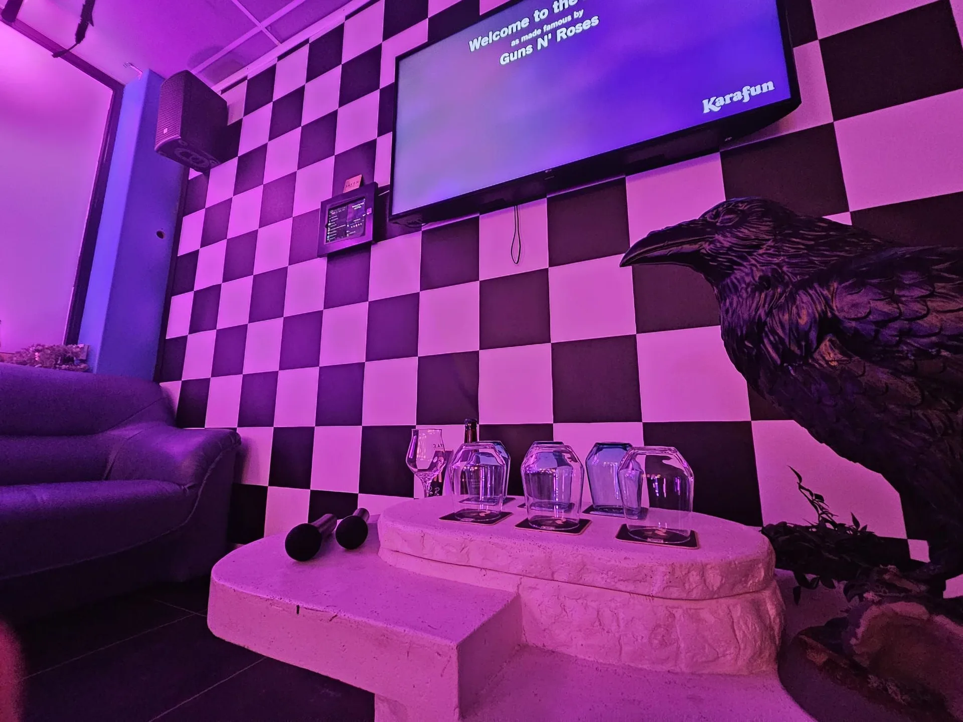 Karaokeruimte bij RAVEN